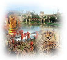 San Diego Attractions